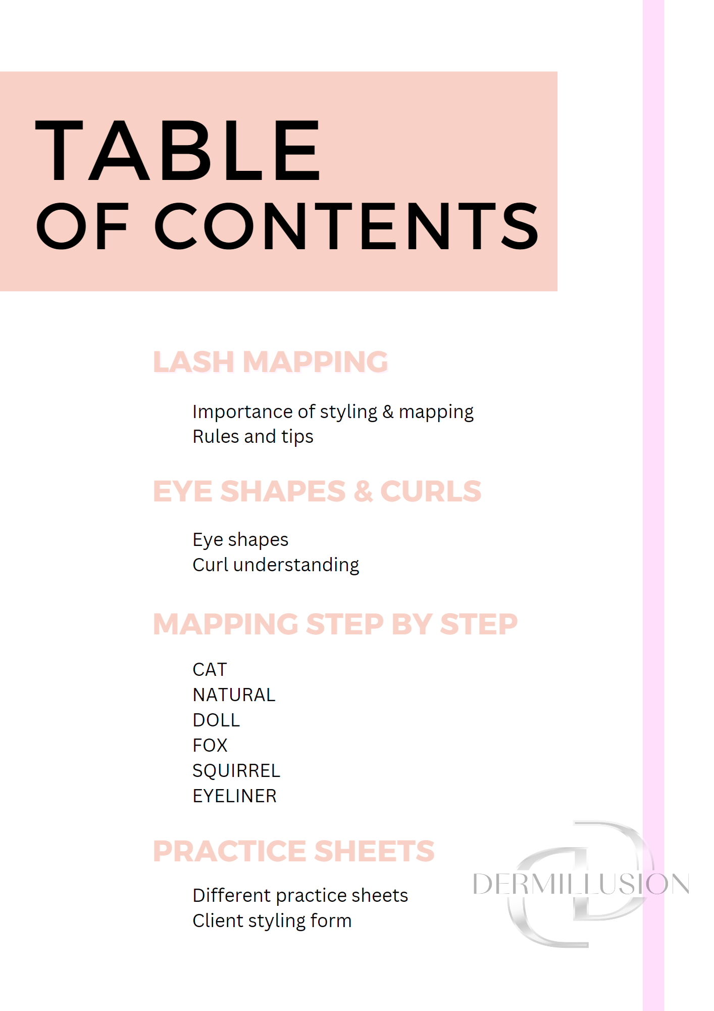 LASH STYLING & MAPPING WORKBOOK