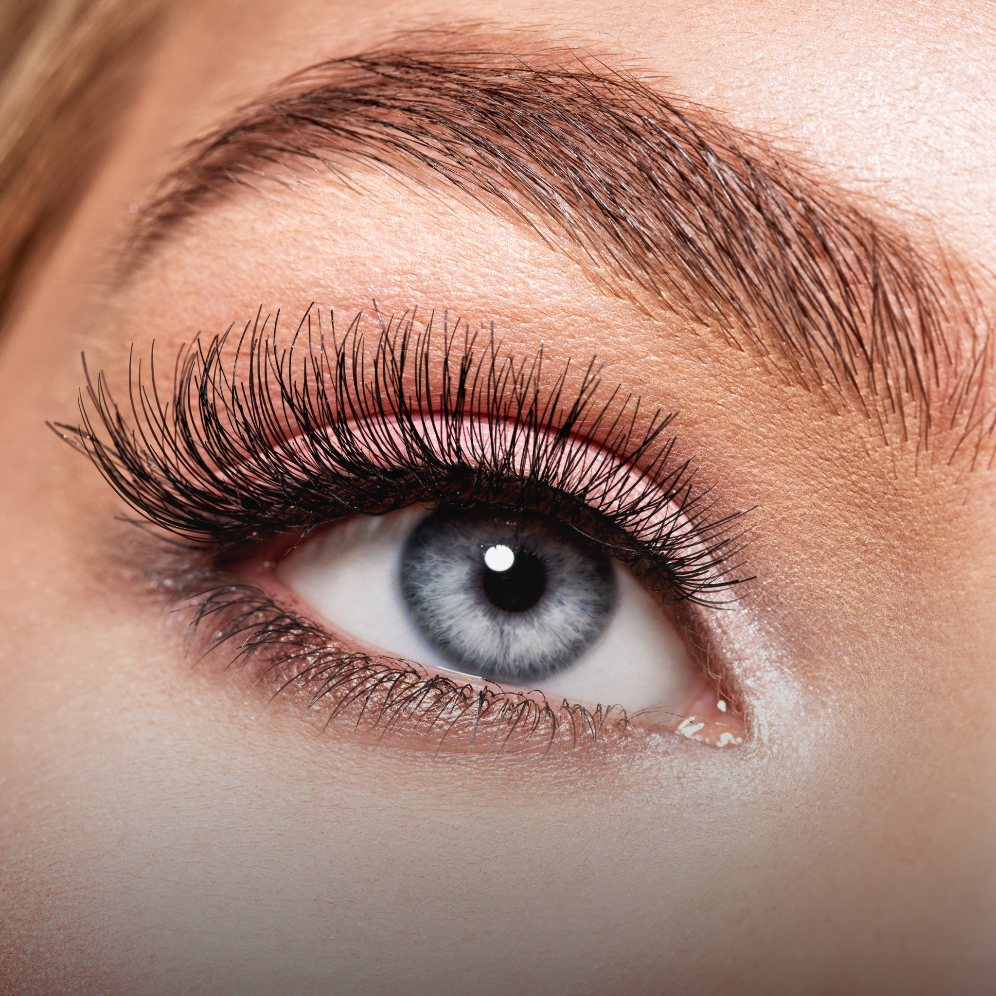 Lashes Website BROWS & LASHES – THE BEAUTY CO | DERMILLUSION